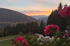 d551b3a5-cd2b-4764-b167-489fb7796c2e