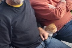 f6e8652c-e870-4ae8-a12b-5f91427cecd2