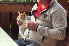 fd10c244-7416-44c9-868d-9d7e152c0883